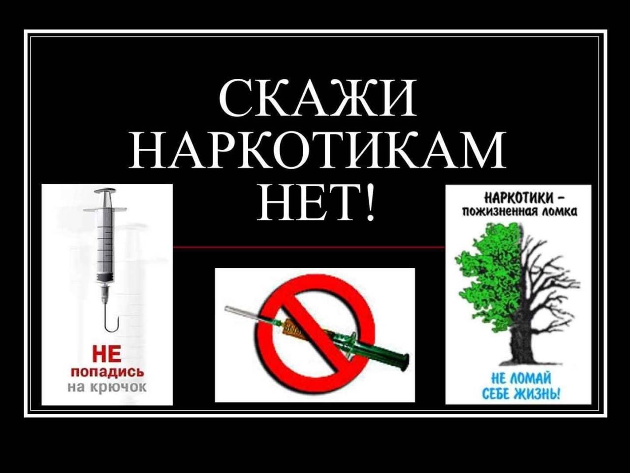 2a4fe3e5 5aef 5f7c 9c82 a276ee0bf5f2